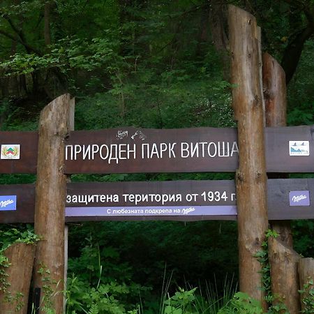 Pinus Villas Lodge With Private Jacuzzi & Phyto-Sauna Retreat Zheleznitsa エクステリア 写真
