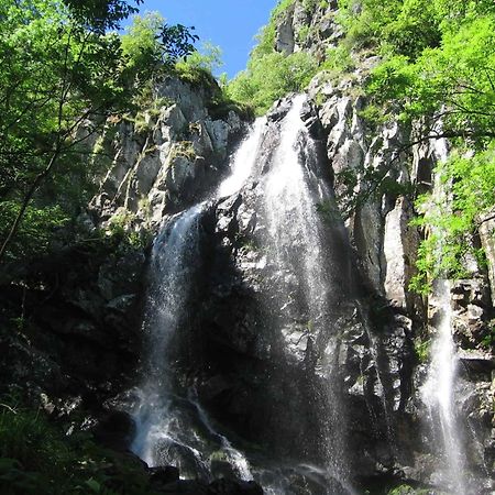 Pinus Villas Lodge With Private Jacuzzi & Phyto-Sauna Retreat Zheleznitsa エクステリア 写真
