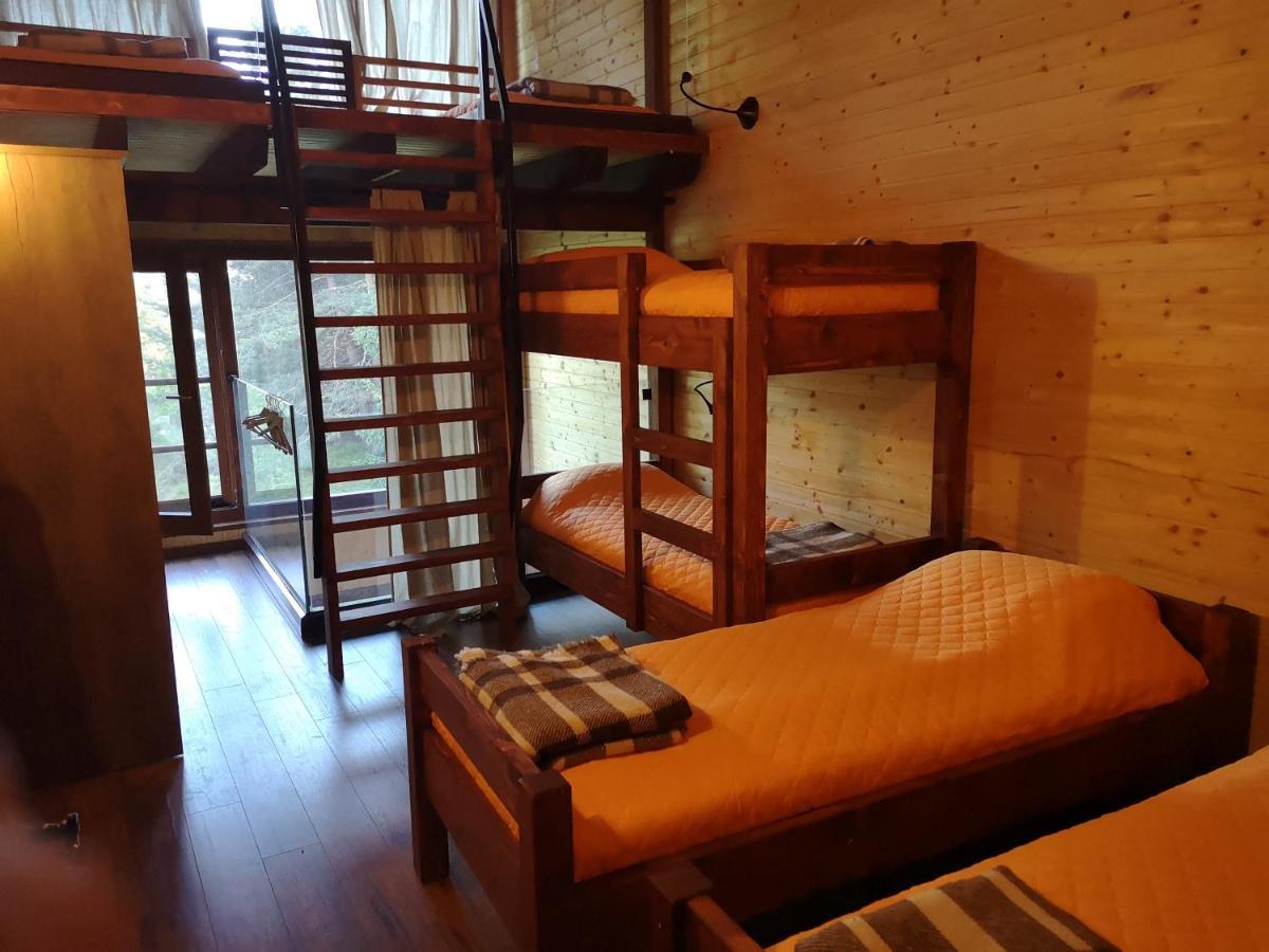 Pinus Villas Lodge With Private Jacuzzi & Phyto-Sauna Retreat Zheleznitsa エクステリア 写真