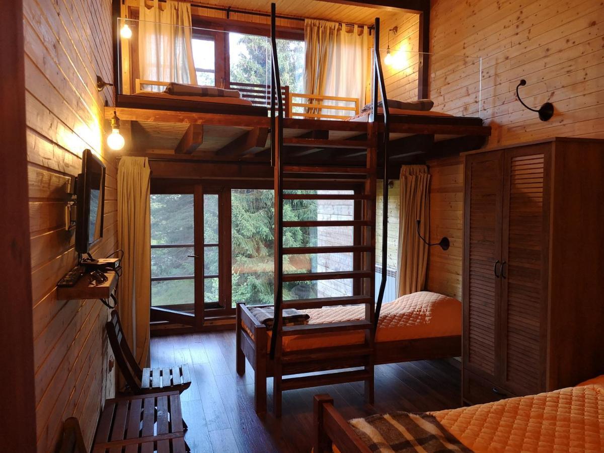 Pinus Villas Lodge With Private Jacuzzi & Phyto-Sauna Retreat Zheleznitsa エクステリア 写真