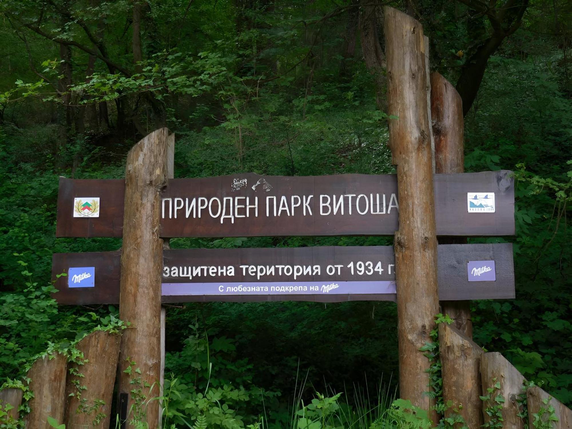 Pinus Villas Lodge With Private Jacuzzi & Phyto-Sauna Retreat Zheleznitsa エクステリア 写真