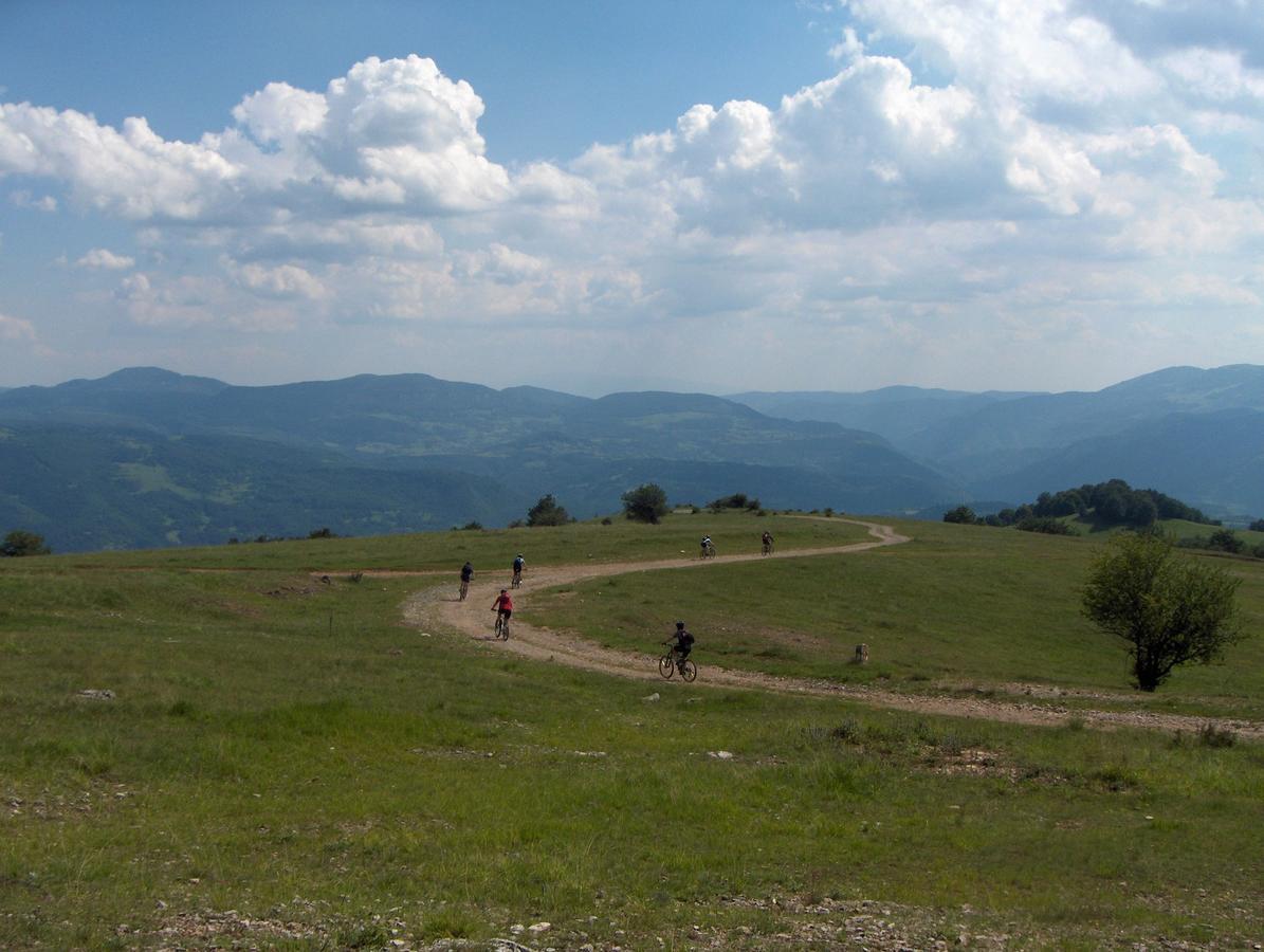 Pinus Villas Lodge With Private Jacuzzi & Phyto-Sauna Retreat Zheleznitsa エクステリア 写真